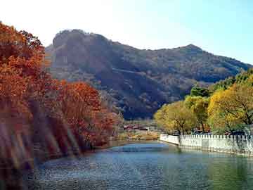 新澳天天开奖资料大全旅游团，白花蛇七层透骨贴